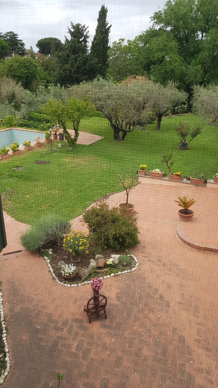 CASALE GIRASOLE B&B (Ciampino, Rome) - Guesthouse Reviews & Photos ...