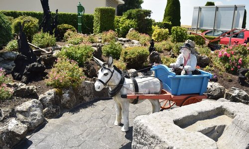 Donkey and cart