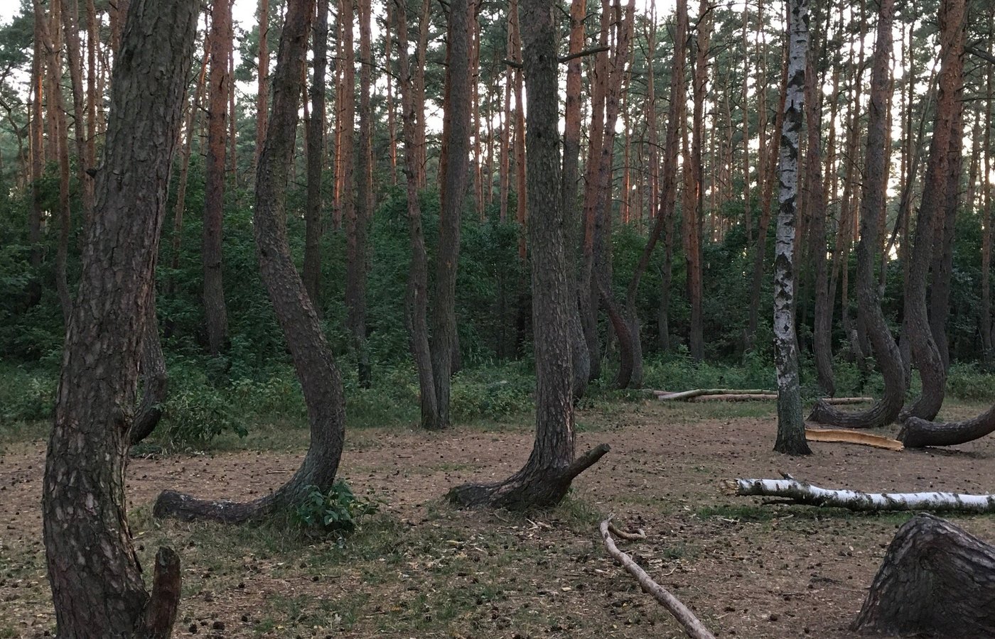 Nowe Czarnowo, Polen Tourismus in Nowe Czarnowo Tripadvisor