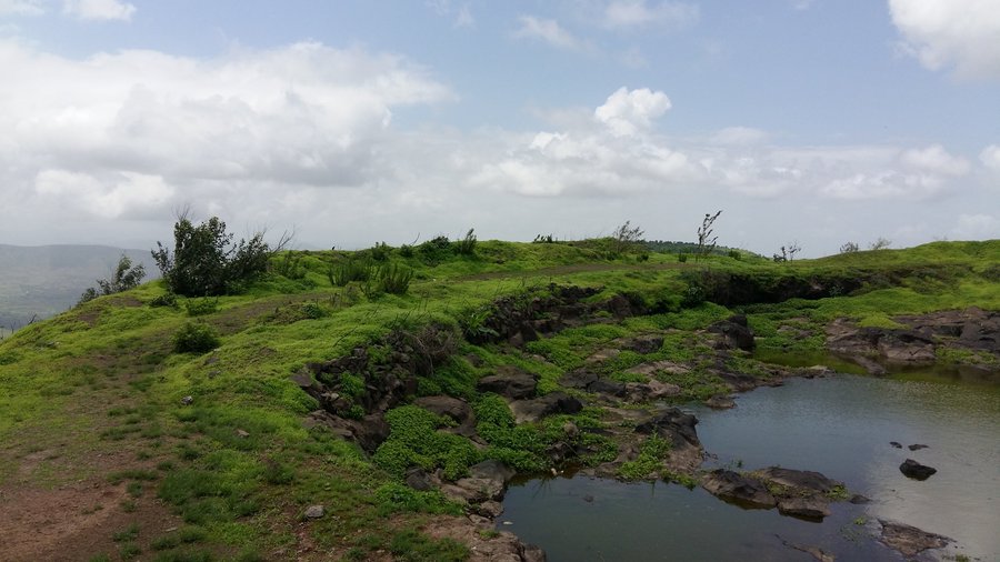 fort head area