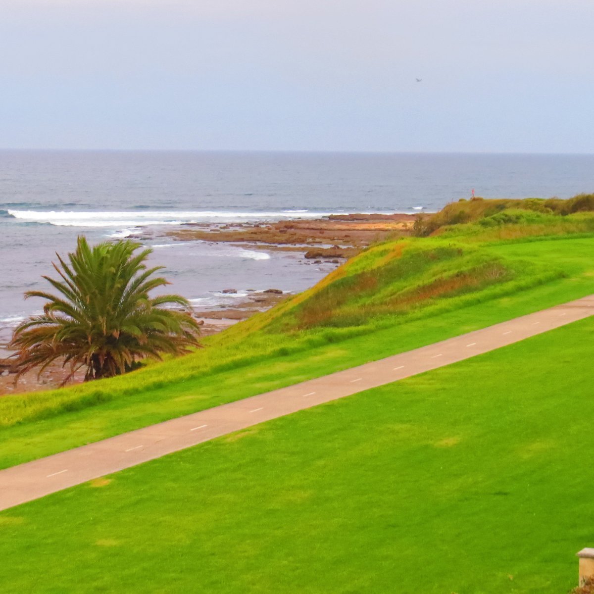 MCCAULEYS BEACH (Bulli): Ce qu'il faut savoir pour votre visite (avec ...