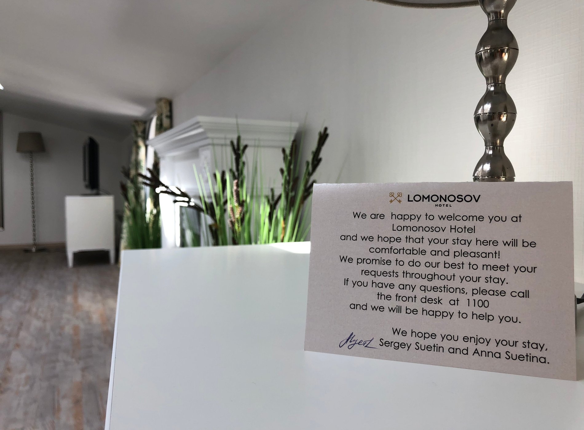 Lomonosov hotel by null