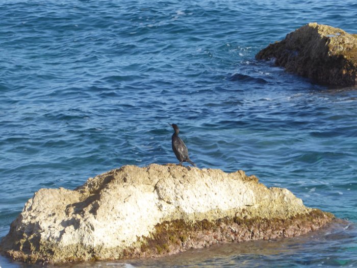 Imagen 1 de Paseo Ecológico Príncipe De Asturias