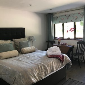 Superior king size room
