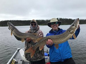 Wollaston Lake's Minor Bay Lodge - The Best Lake Trout Lures: A