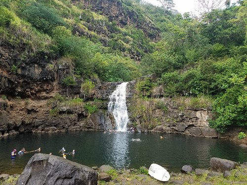 Best Things to do in Oahu's North Shore