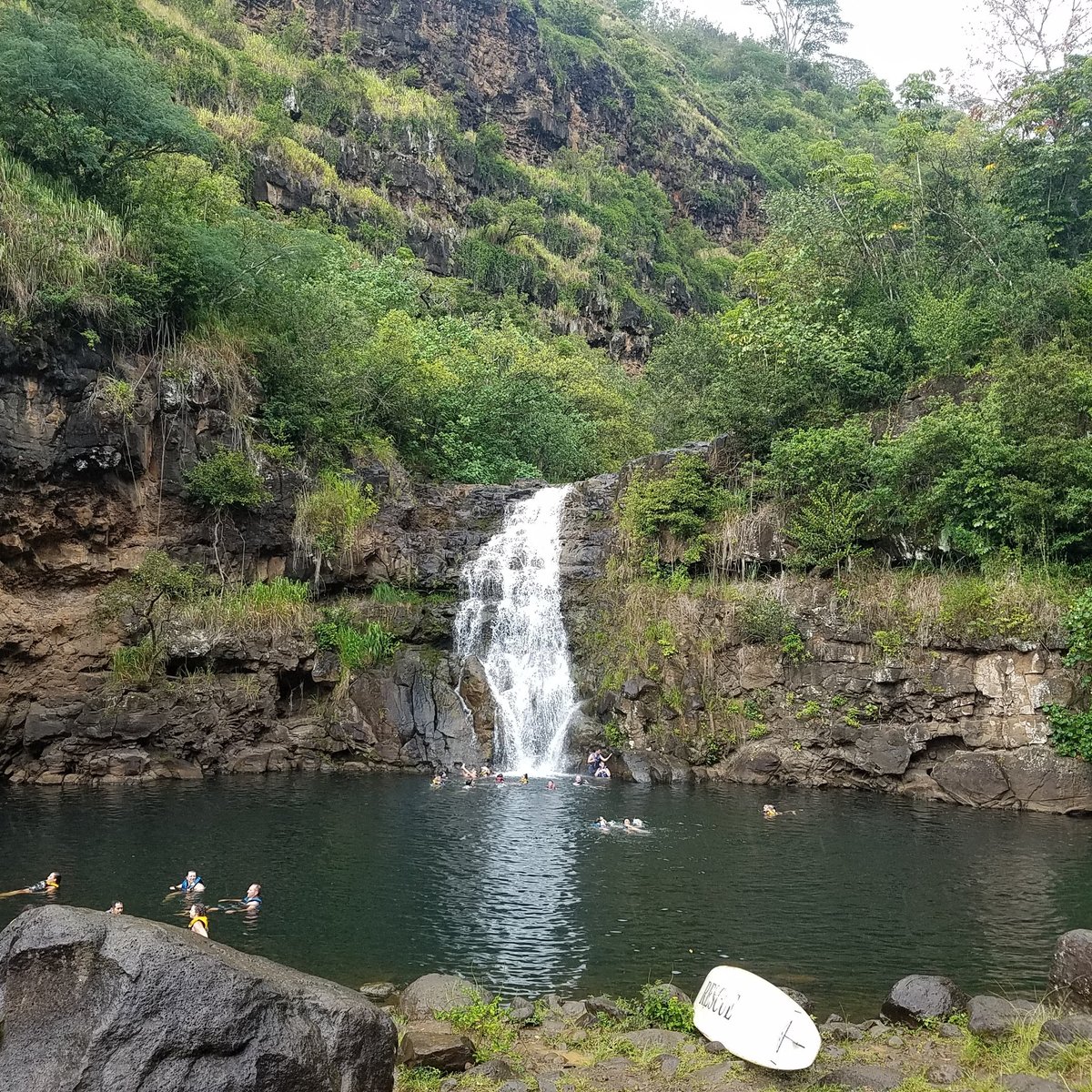 Waimea Falls Botanical Garden | Fasci Garden 