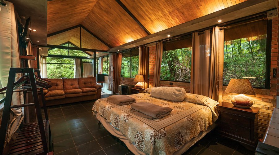 the Suite