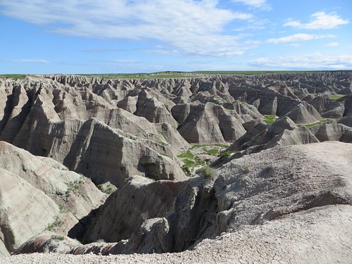 are dogs allowed in badlands national park