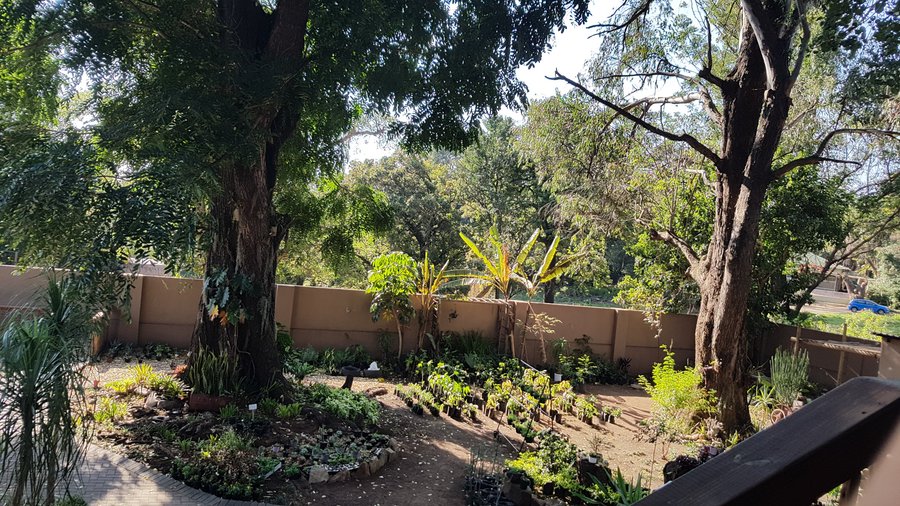 Gartenblick von der Terasse