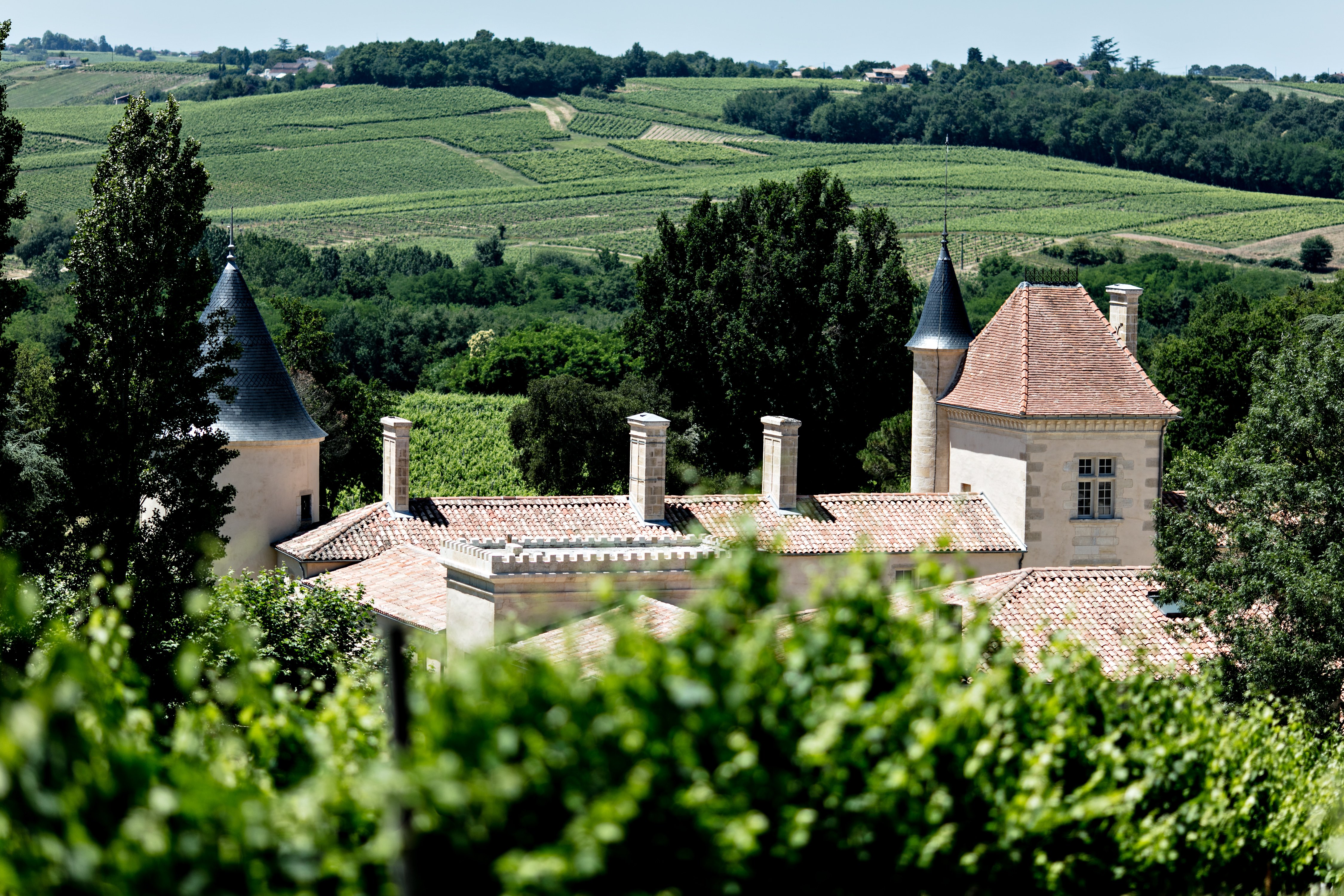 CHATEAU TOULOUSE LAUTREC Tutto quello che c da sapere