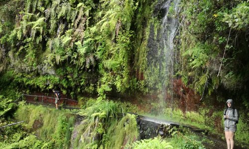 Levada do Rei