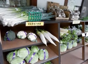 旅行者の写真