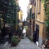 grieco5
