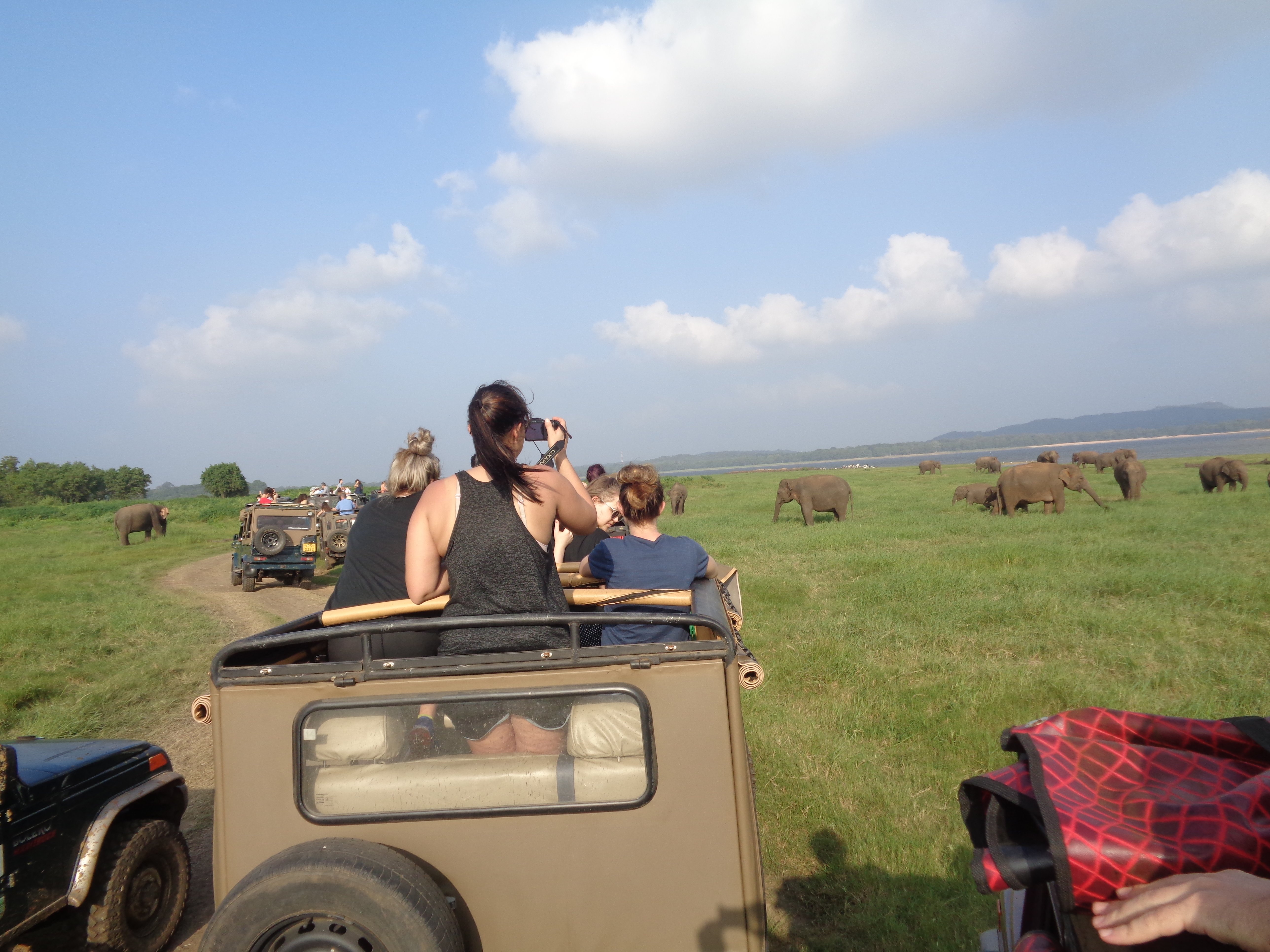 MINNERIYA SAFARI TOURS (Habarana) - All You Need To Know BEFORE You Go