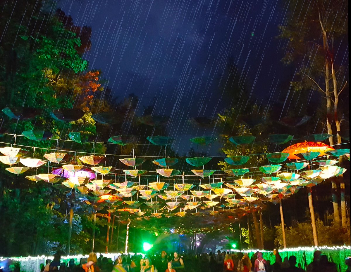 Electric Forest (Montague) All You Need to Know BEFORE You Go