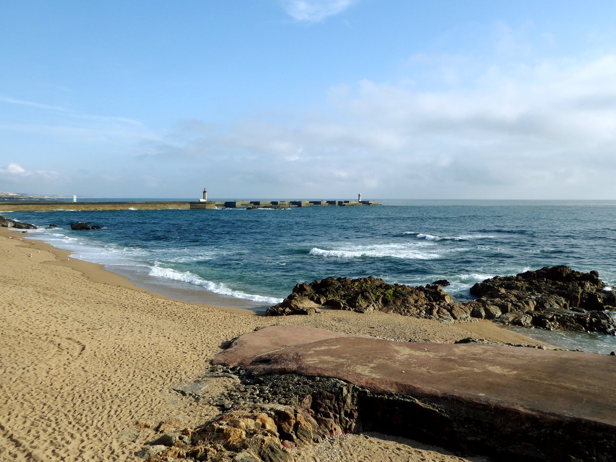 Praia dos Ingleses - O que saber antes de ir (ATUALIZADO 2023)