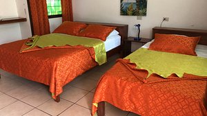 La Baula Lodge in Tortuguero, image may contain: Furniture, Bed, Hotel, Hostel