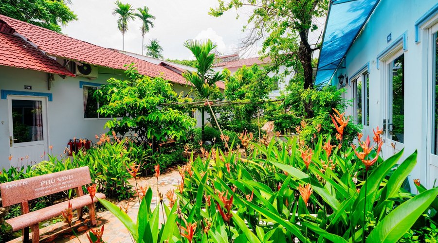 Garden view