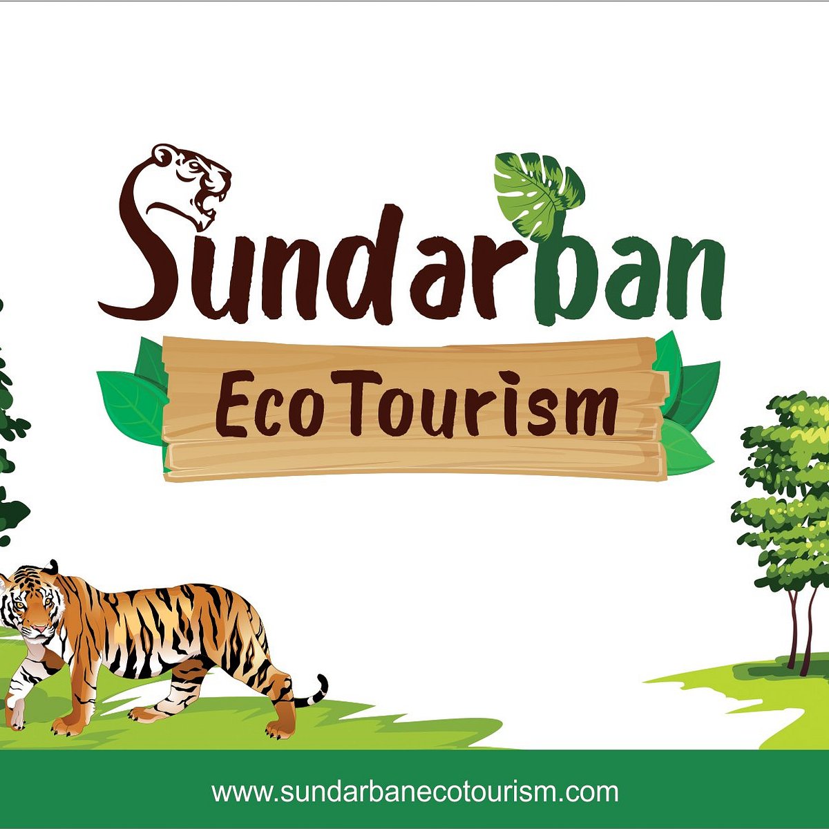 sundarban eco tourism