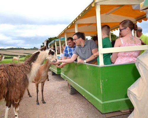 35 indoor things to do on a rainy day in Devon