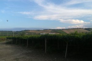 Oda Manzarası
