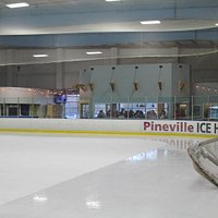 NHL size ice rink.