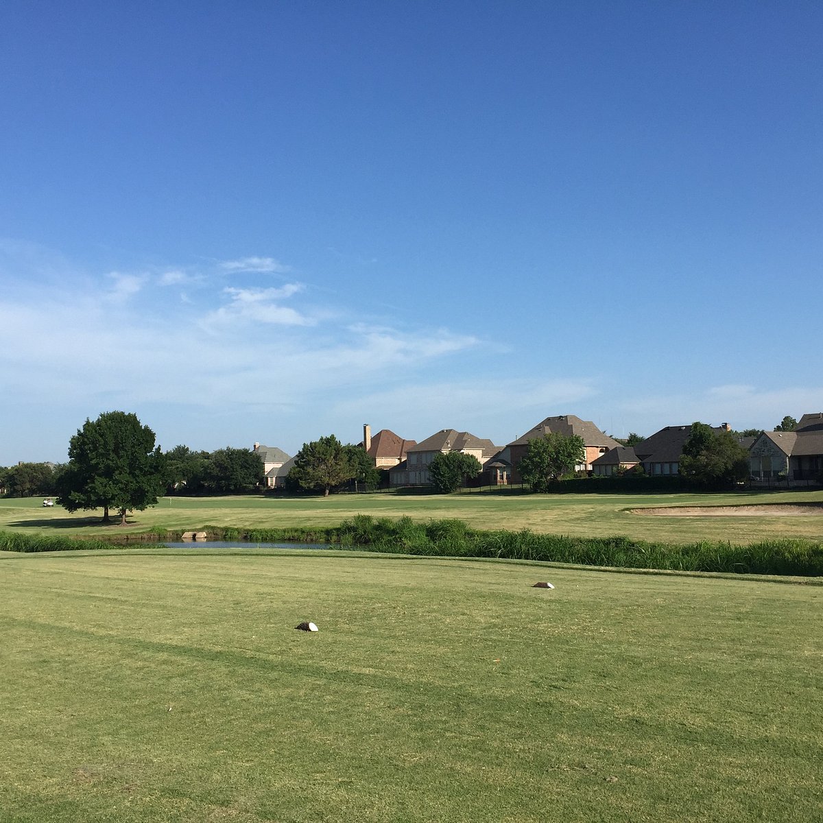 RIVERCHASE GOLF CLUB (Coppell) Ce qu'il faut savoir