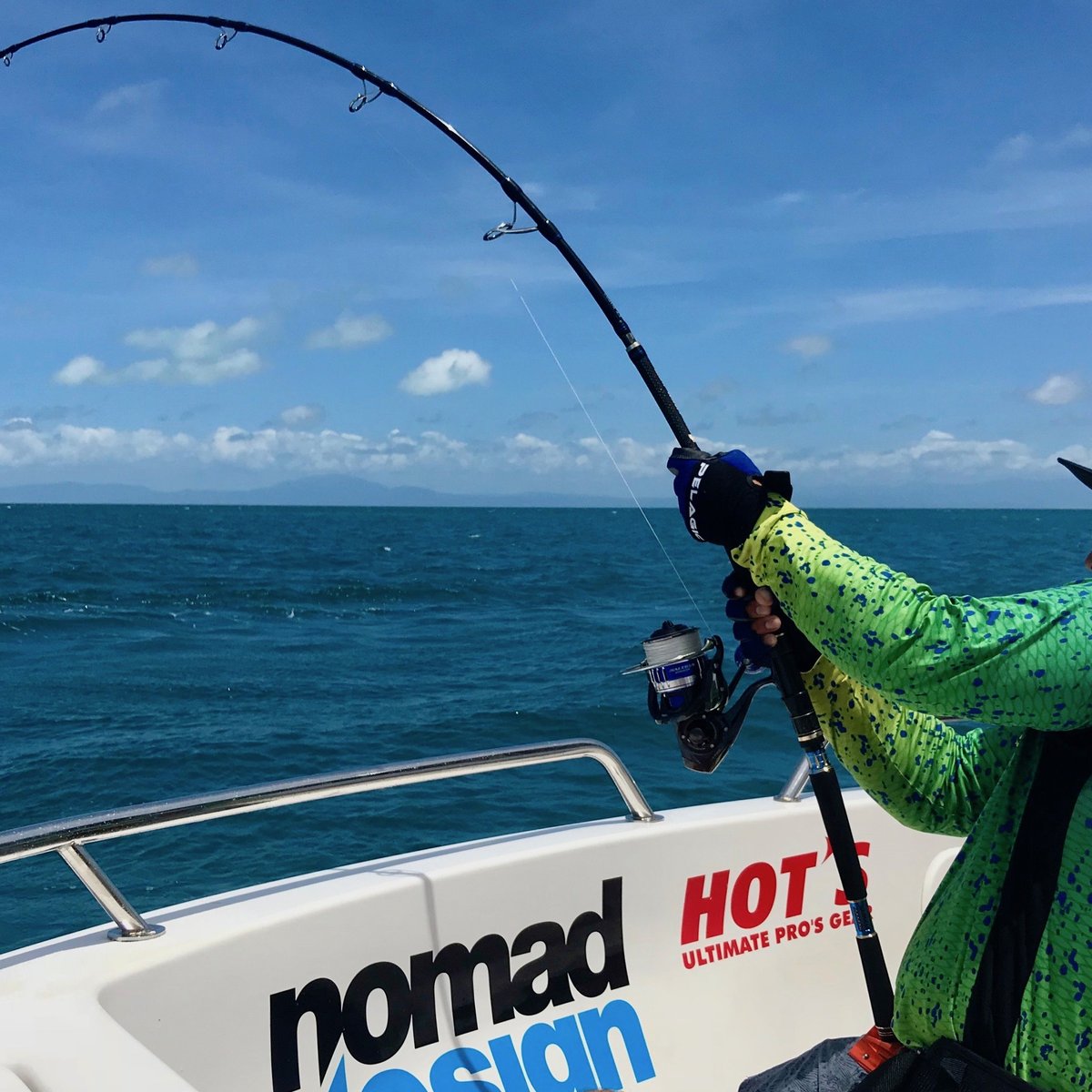 Deep-water denizen stranded in Sept-Îles - Baleines en direct