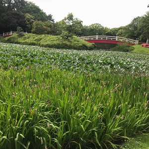 22年 元浜公園 行く前に 見どころをチェック トリップアドバイザー