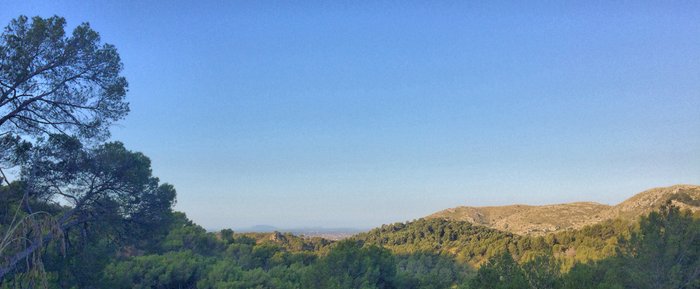 Imagen 6 de Puig de Sant Marti