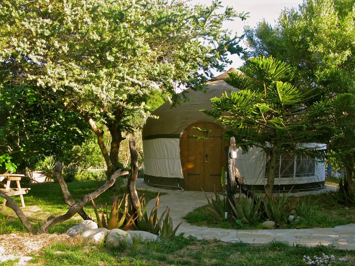 Imagen 2 de Yurts Tarifa Rural Accommodation