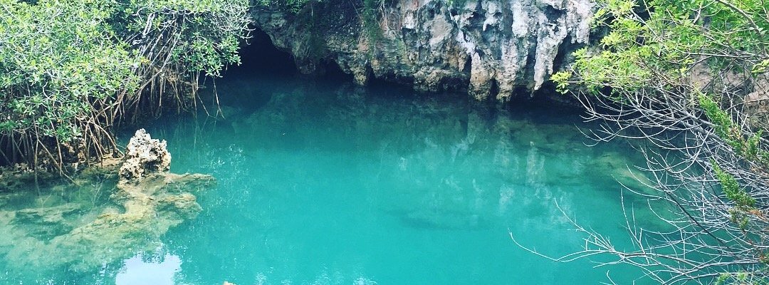 The Blue Hole in Tom Moore's Jungle