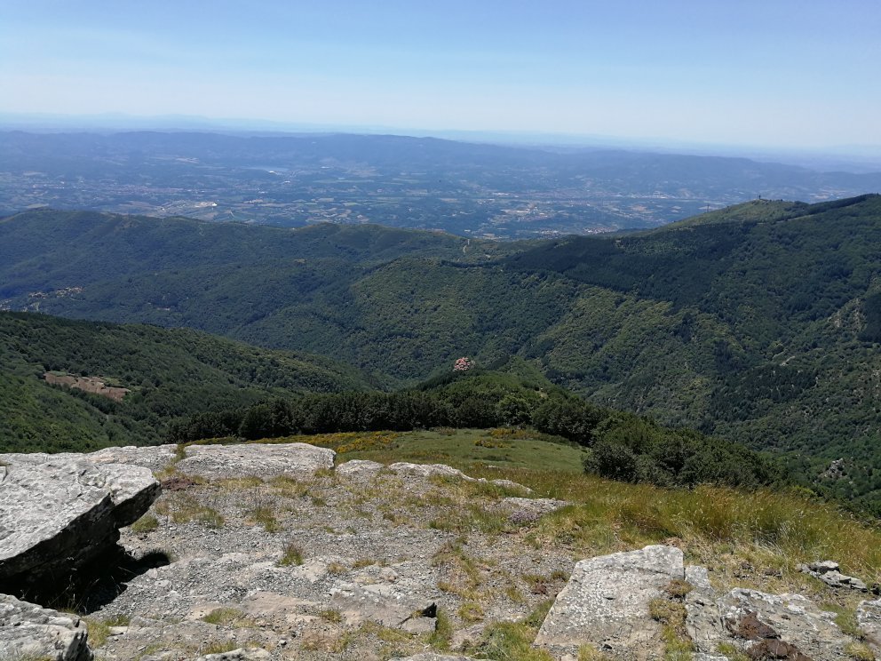 I migliori Montagne in Provincia di Arezzo Aggiornato 2024