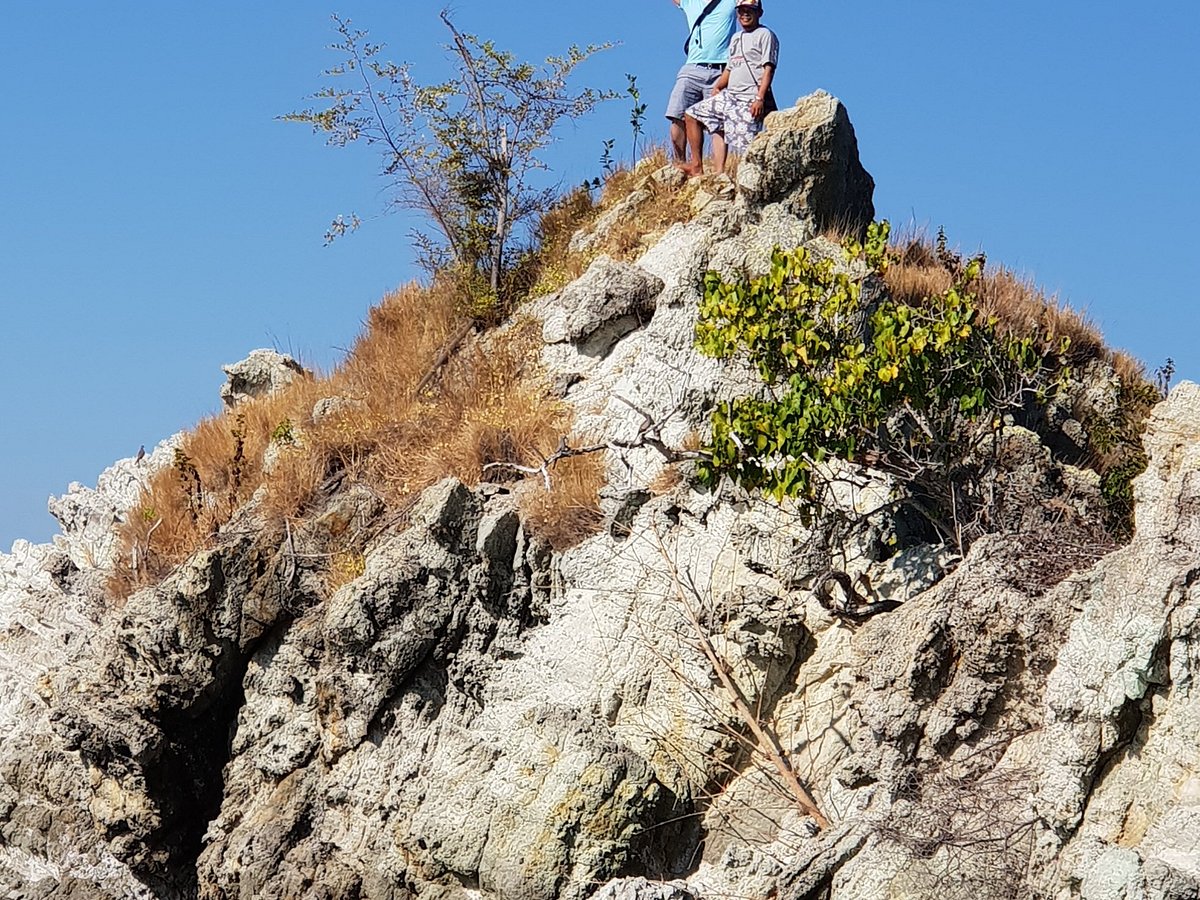 komodo tour agent