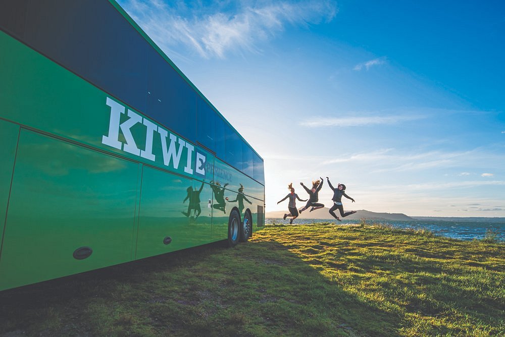 kiwi experience bus tours