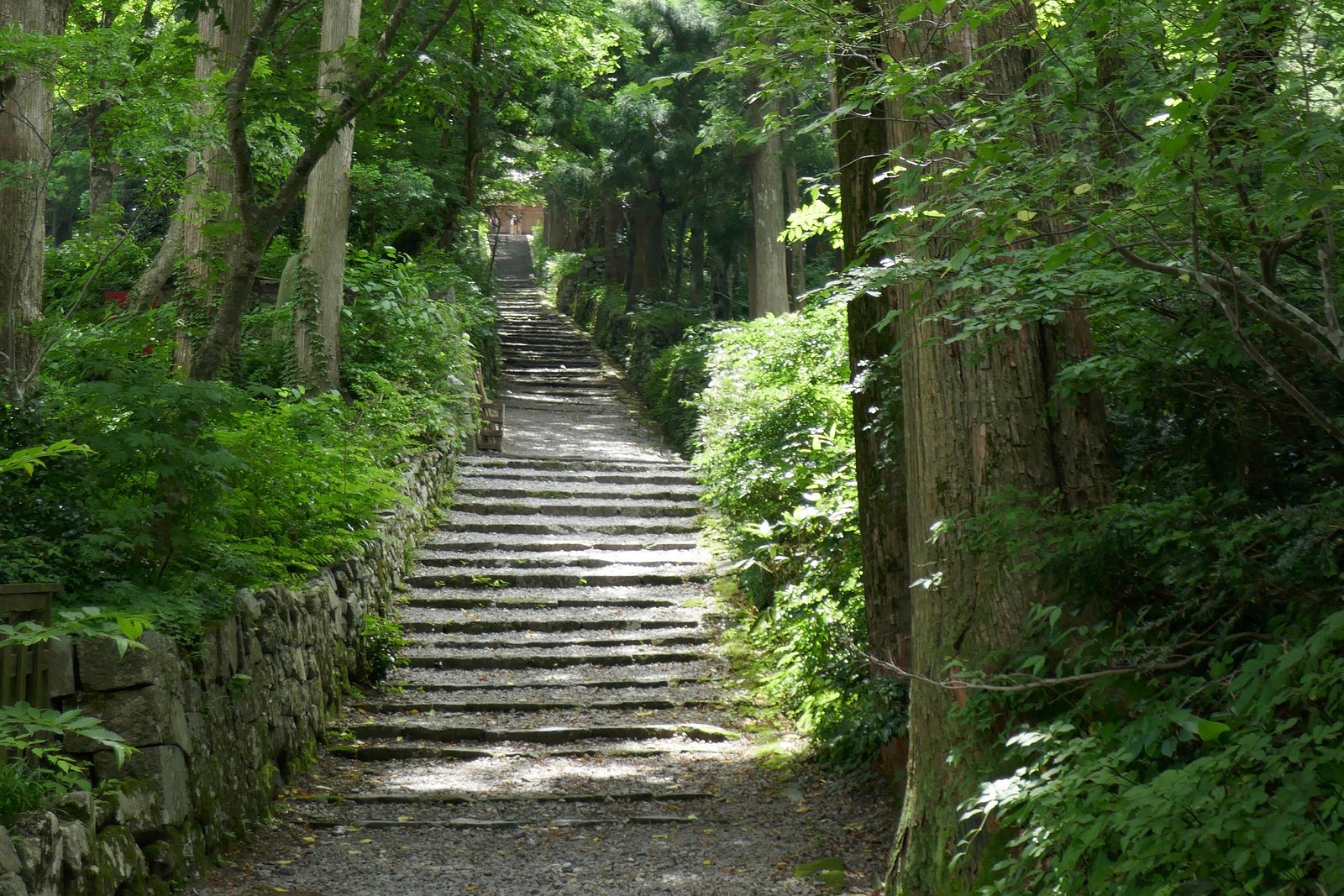 大山町 旅行 観光ガイド 21年 トリップアドバイザー