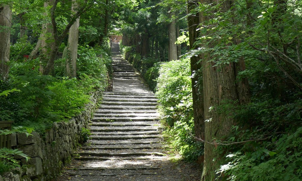 大山町 旅行 観光ガイド 年 トリップアドバイザー