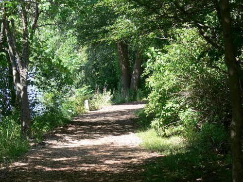 are dogs allowed at nature preserves in illinois