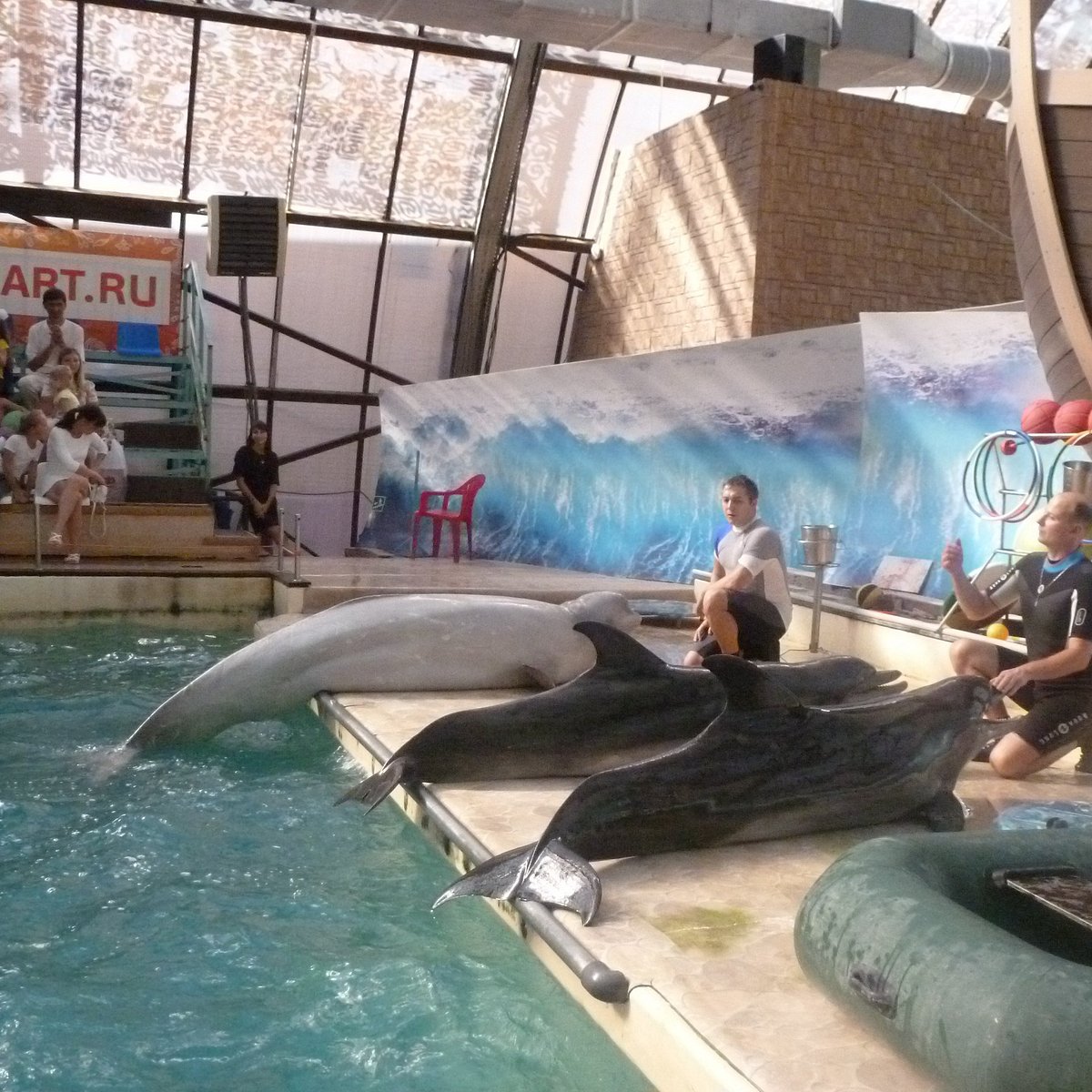 DOLPHINARIUM: All You Need to Know BEFORE You Go (with Photos)