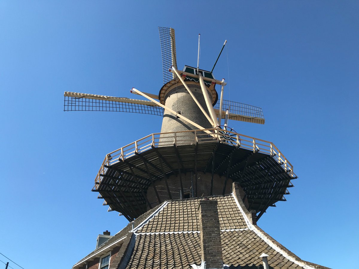 MOLEN DE ROOS (Delft) - 2023 Qué SABER antes de ir (con Fotos)