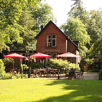 Terras en vooraanzicht Boschoord