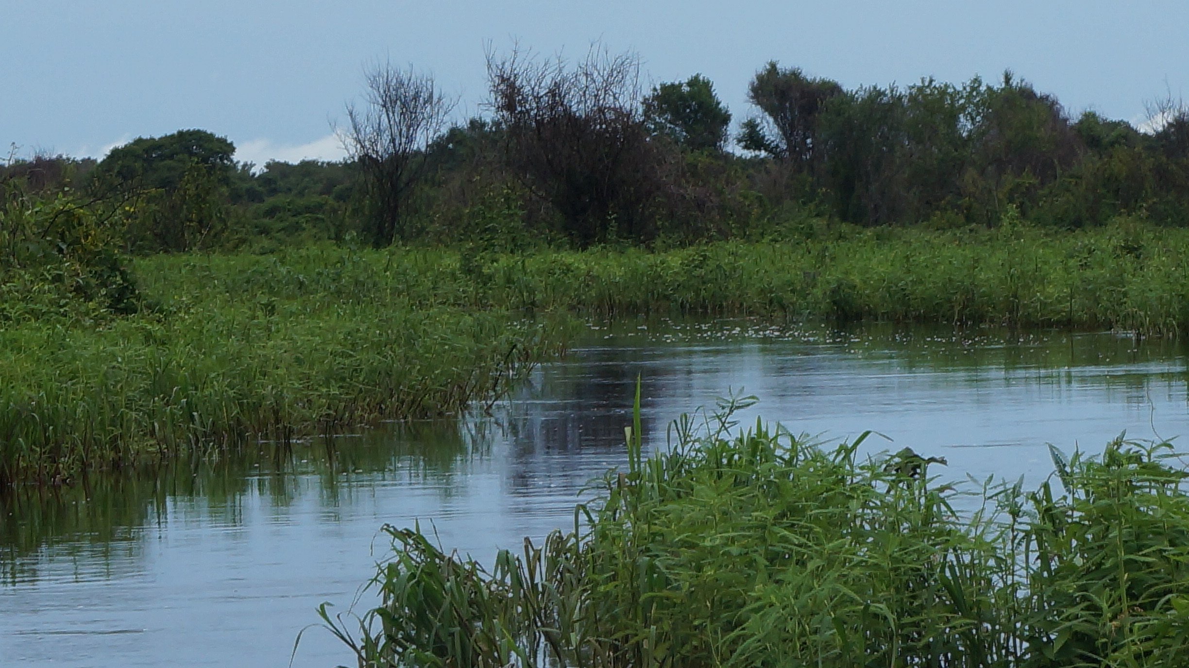 POUSADA PANTANAL NORTE (Brésil/Barao De Melgaco) - Tarifs 2024