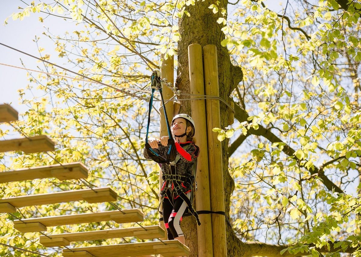 RAVEN TREE TOP ADVENTURE (Skipton) All You Need to Know BEFORE You Go