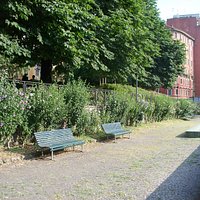 il giardino