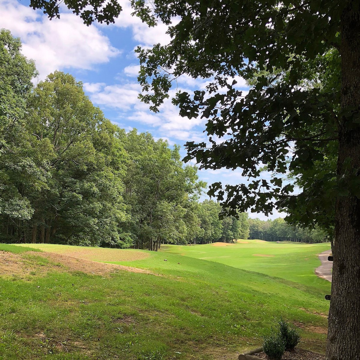 FALL CREEK FALLS GOLF COURSE (Fall Creek Falls State Park) Ce qu'il