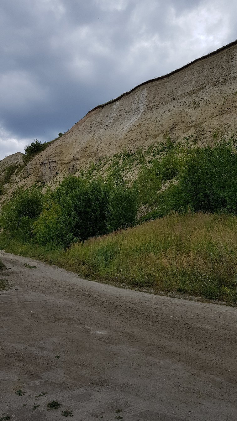 Печищинский геологический разрез, д. Печищи: лучшие советы перед посещением  - Tripadvisor