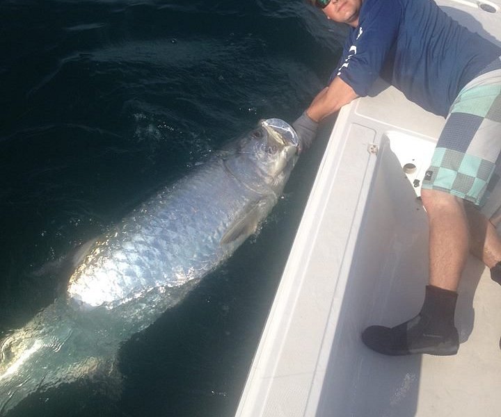 snook hair don't care - Picture of Slot Machine Fishing Charters, Palmetto  - Tripadvisor