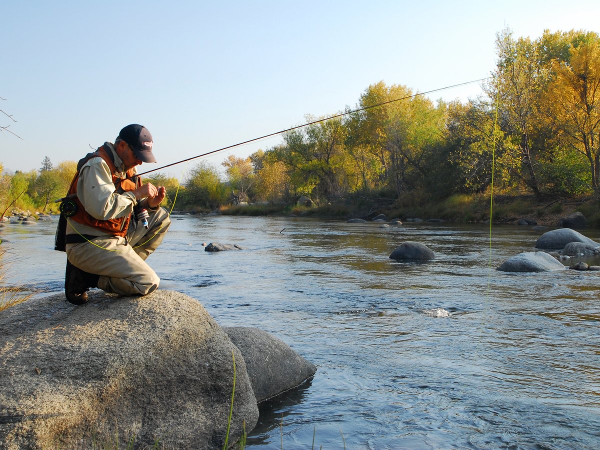 Golden Trout Wilderness Packtrains (Springville) - All You Need to Know ...