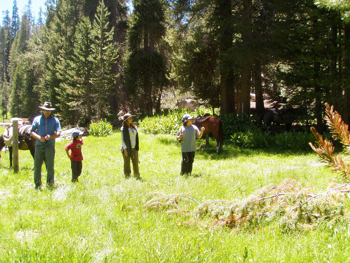 Golden Trout Wilderness Pack Trains: Your Ultimate Family Vacation
